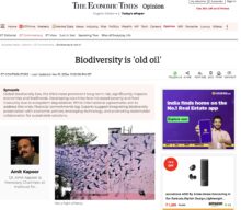 Biodiversity is “Old Oil”