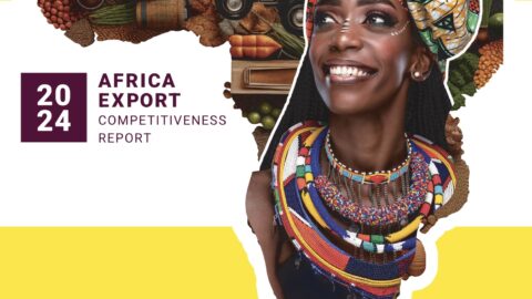 Africa Export Competitiveness Report