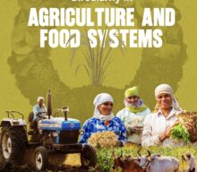 Report on Circularity in Agriculture and Food Systems