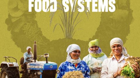 Report on Circularity in Agriculture and Food Systems